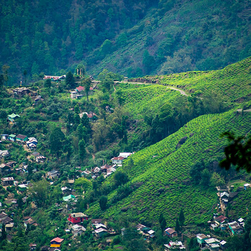 Lepcha Jagat & Darjeeling Explorer - Small Cab
